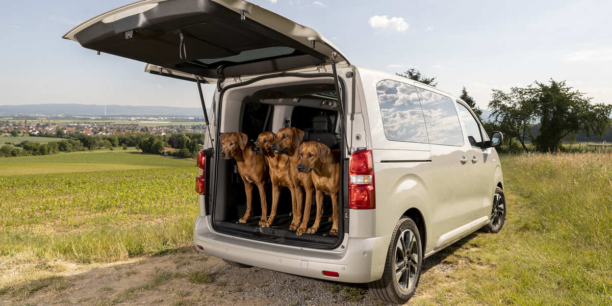 Opel Zafira E-Life Welthundetag